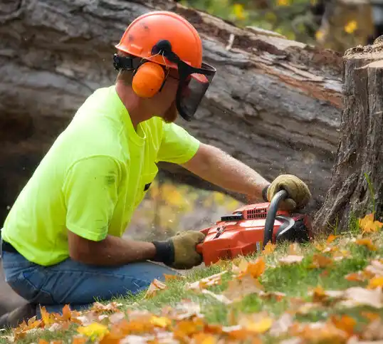 tree services Leisure World